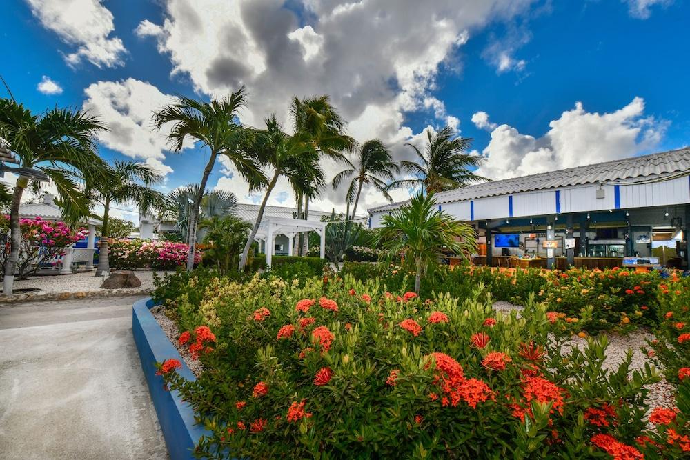 Aruba Blue Village Hotel And Apartments Palm Beach Bagian luar foto