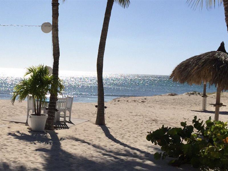 Aruba Blue Village Hotel And Apartments Palm Beach Bagian luar foto