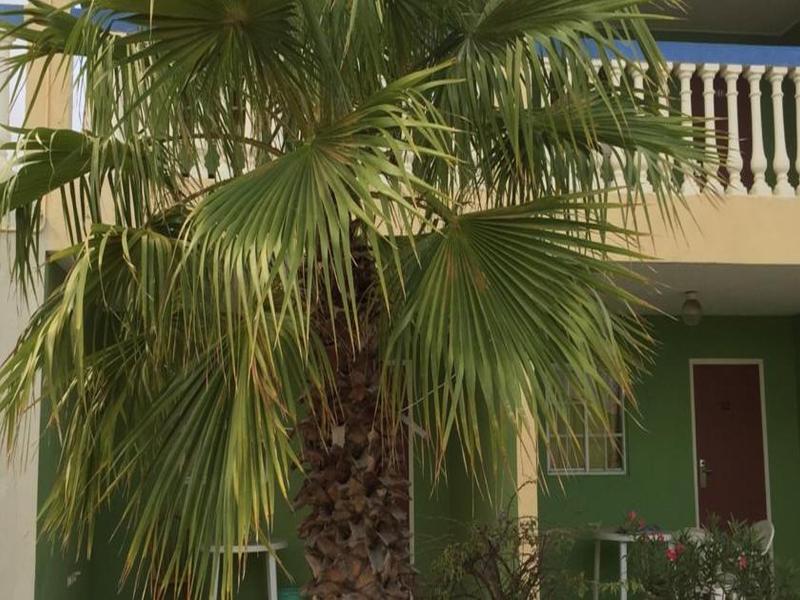 Aruba Blue Village Hotel And Apartments Palm Beach Bagian luar foto